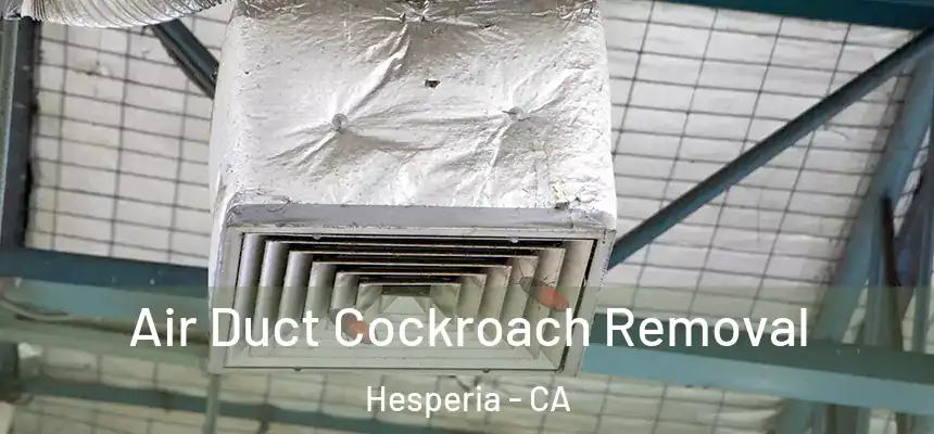  Air Duct Cockroach Removal Hesperia - CA