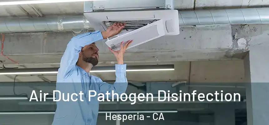 Air Duct Pathogen Disinfection Hesperia - CA