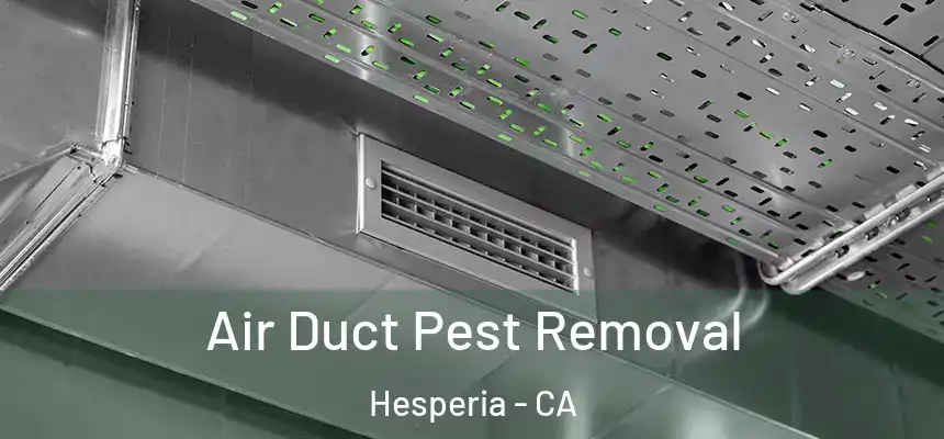 Air Duct Pest Removal Hesperia - CA