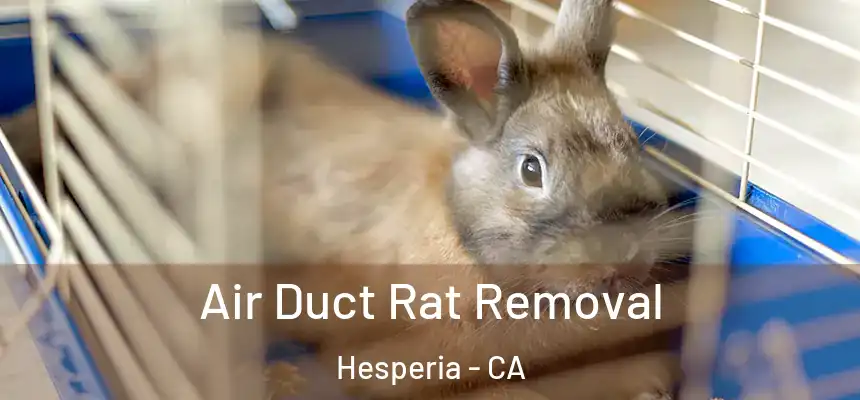 Air Duct Rat Removal Hesperia - CA
