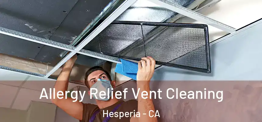Allergy Relief Vent Cleaning Hesperia - CA