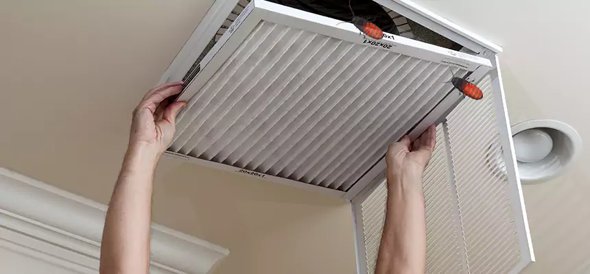 Preventive Cockroach-Proofing for Ducts in Hesperia
