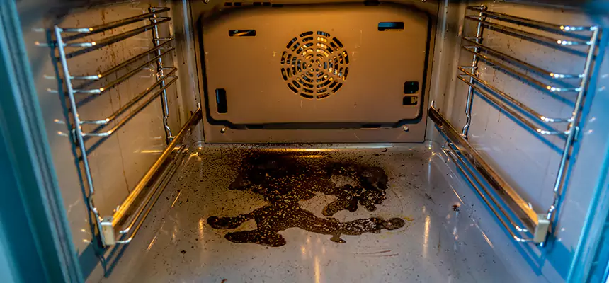 Our Dryer Vent Mold Cleaning Services in Hesperia, CA