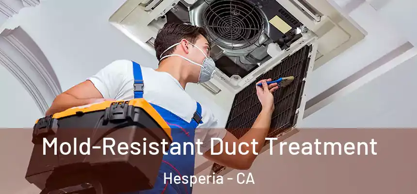Mold-Resistant Duct Treatment Hesperia - CA