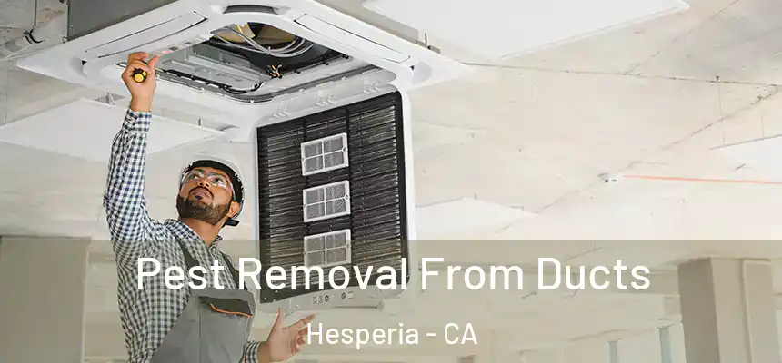 Pest Removal From Ducts Hesperia - CA