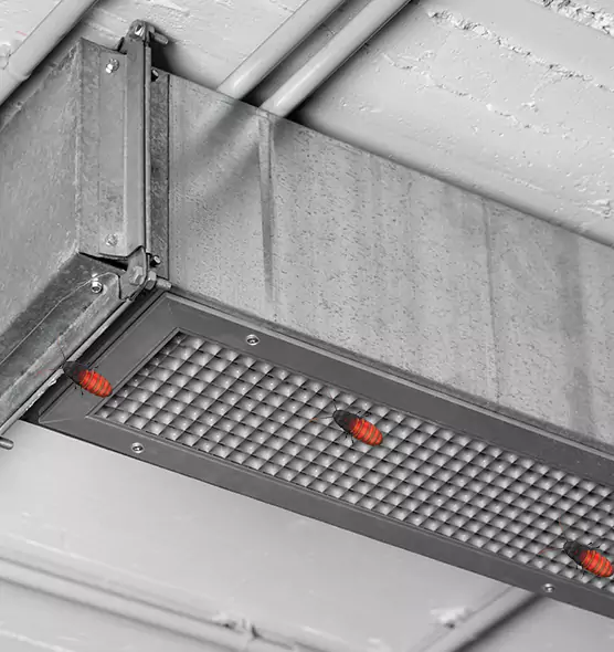 Affordable Insect Removal from Air Ducts in Hesperia, CA
