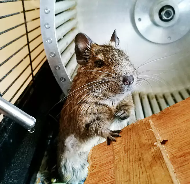 Why Homeowners & Businesses Trust Us Hesperia, CA?